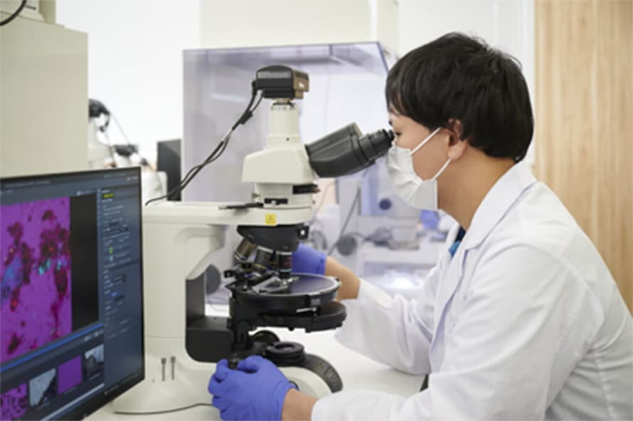 顕微鏡を使った分析の様子